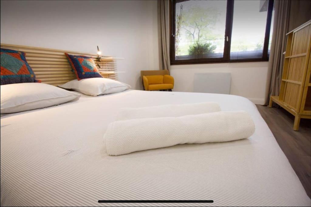 Superbe Appartement En Plein Coeur De Metz. エクステリア 写真
